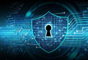 大数据时代的隐私保护 不容忽视的技术挑战与个人责任