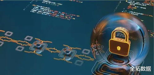 网络安全 信息技术发展中的关键挑战与广阔前景